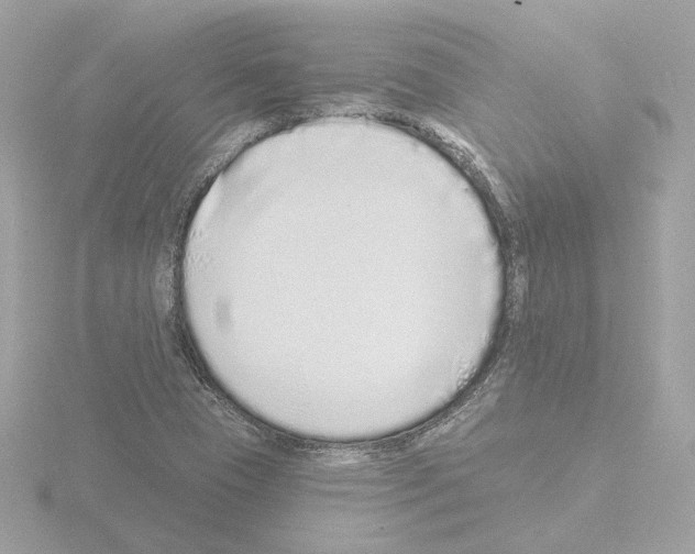 X0000115521409200912181457