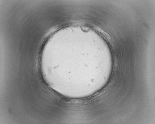 X0000115521411200912181457