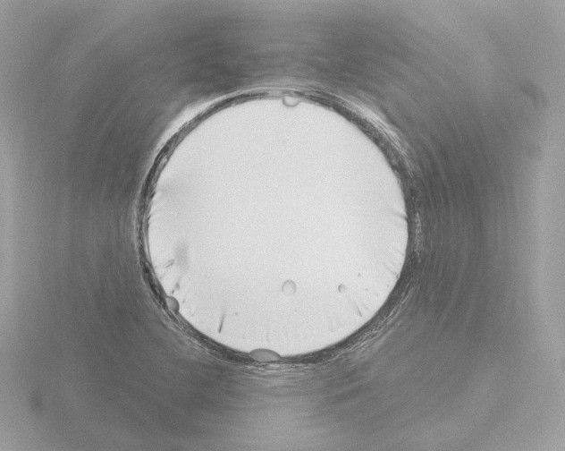 X0000115521412200912181457