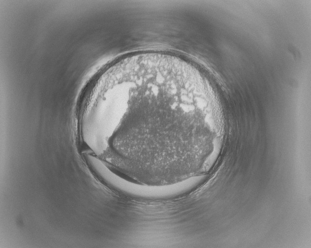 X0000115521414200912181457