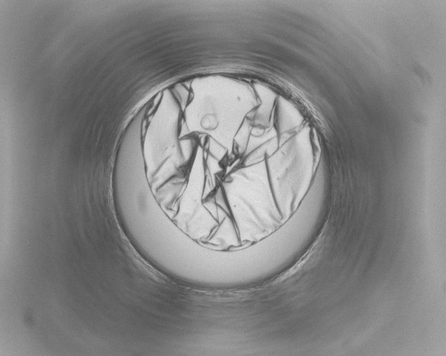 X0000115521417200912181457