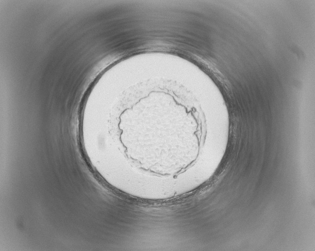 X0000115521418200912181457