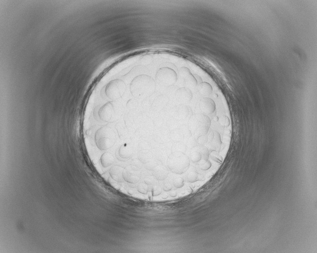 X0000115521420200912181457