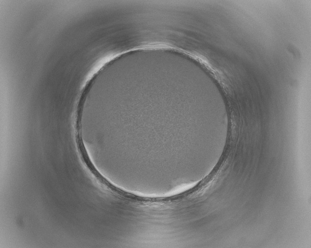 X0000115521422200912181457