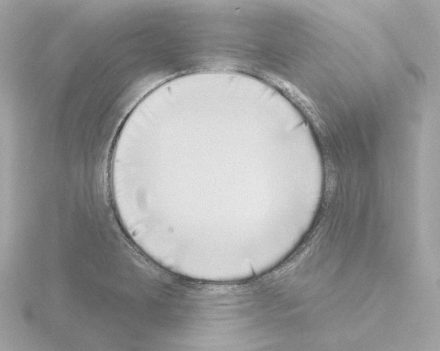 X0000115521423200912181457