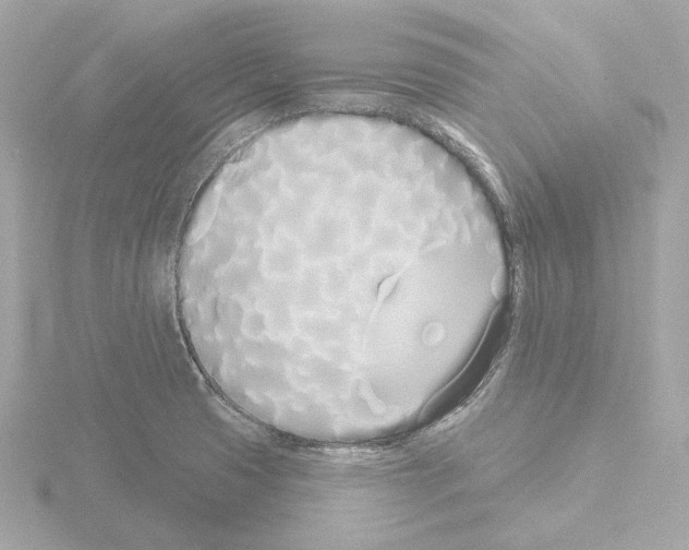 X0000115521425200912181457