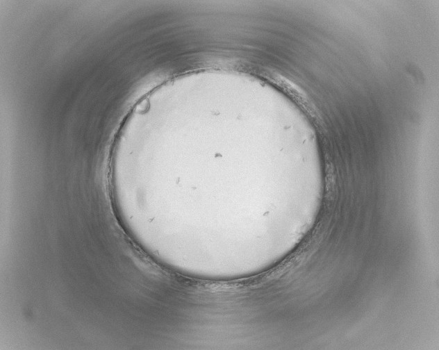 X0000115521427200912181457