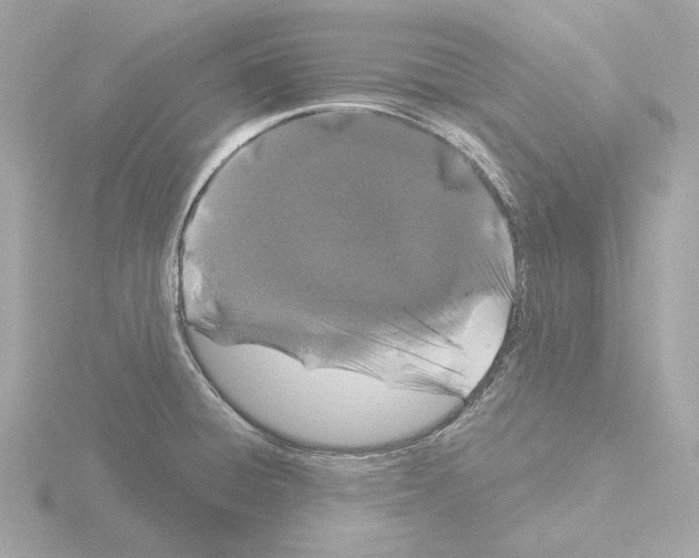 X0000115521428200912181457