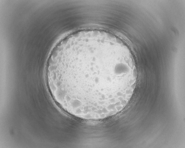 X0000115521429200912181457