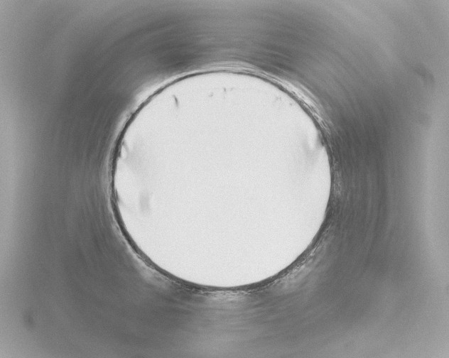 X0000115521430200912181457