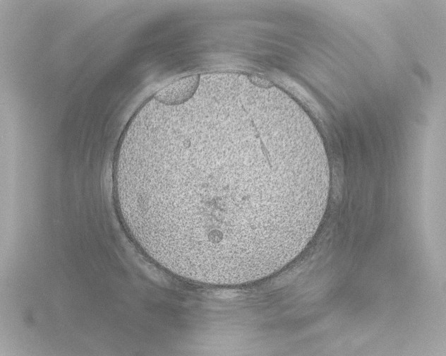 X0000115521431200912181457