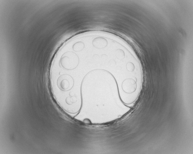 X0000115521432200912181457