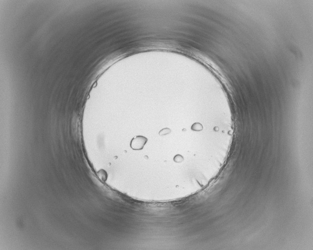 X0000115521433200912181457