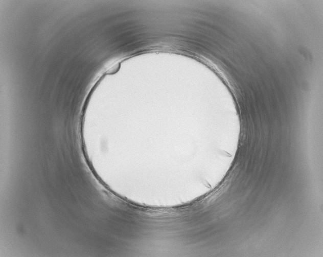 X0000115521434200912181457