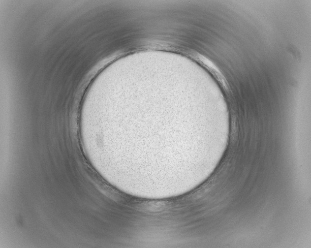 X0000115521435200912181457