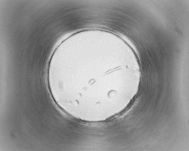 X0000115521437200912181457