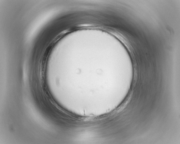 X0000115521438200912181457