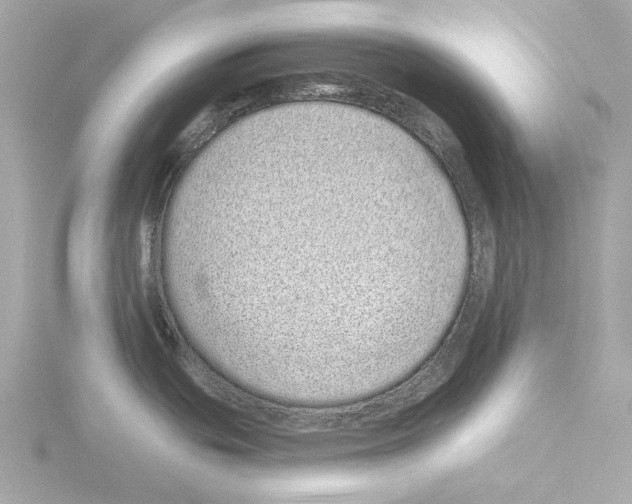 X0000115521439200912181457