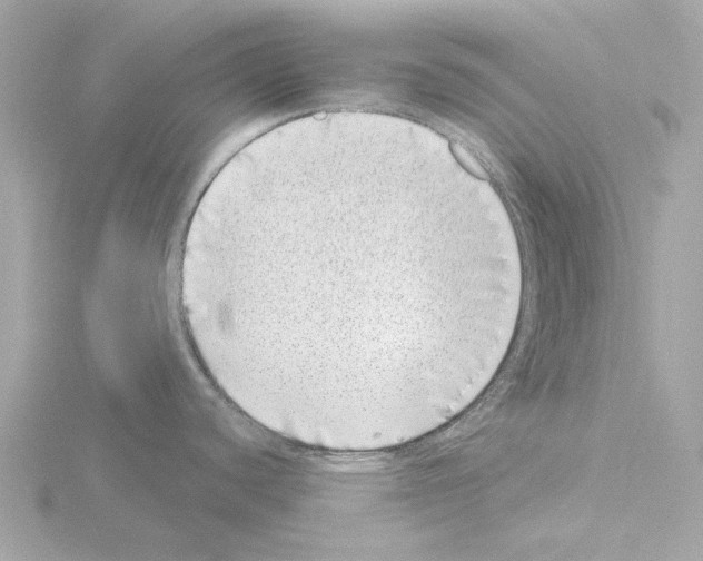 X0000115521440200912181457