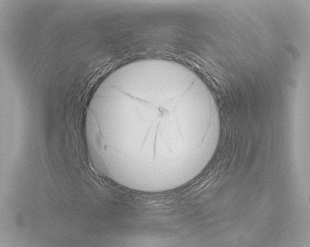 X0000115521441200912181456