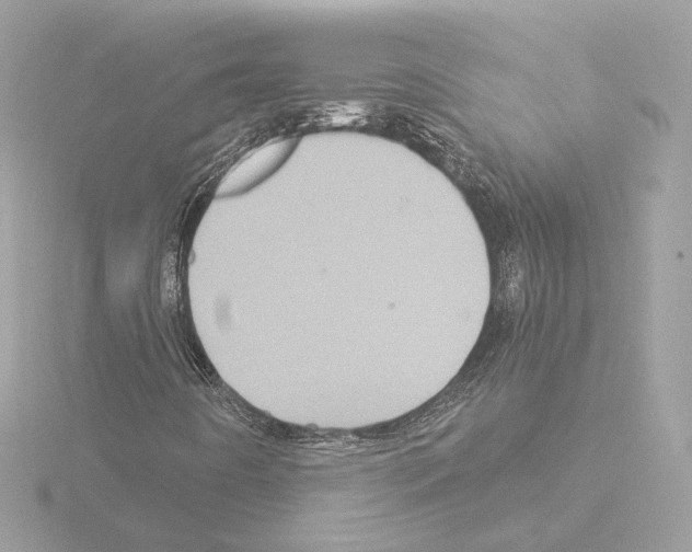 X0000115521442200912181456