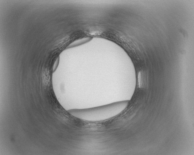 X0000115521443200912181456