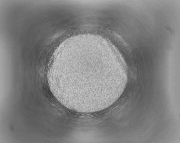 X0000115521445200912181456