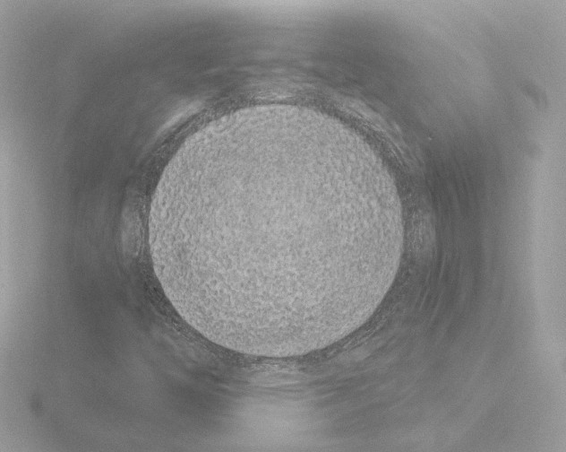 X0000115521446200912181456