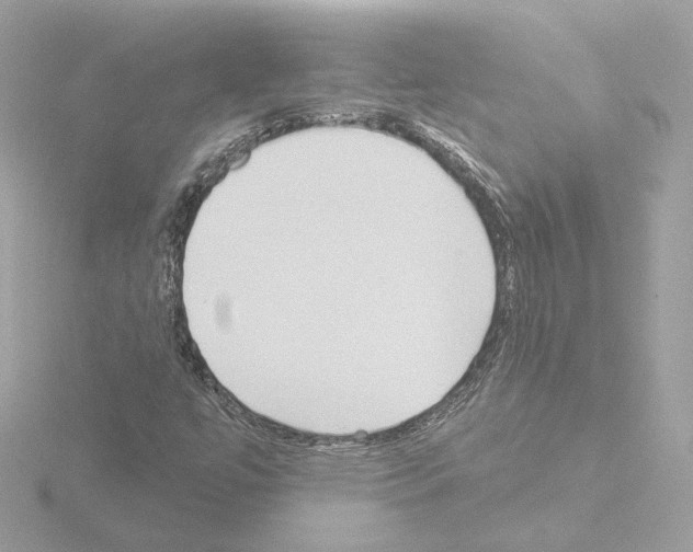 X0000115521447200912181456