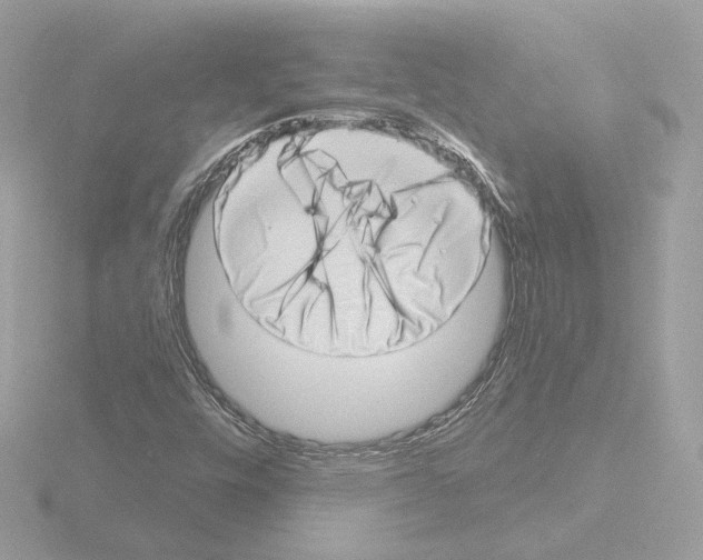 X0000115521448200912181456