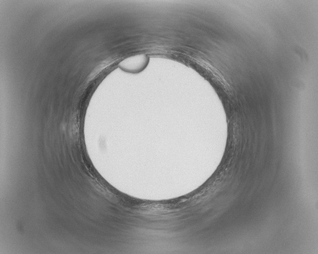 X0000115521450200912181456