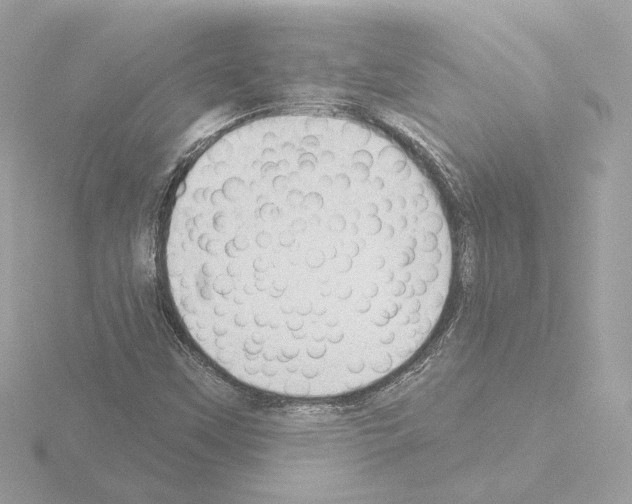 X0000115521451200912181456