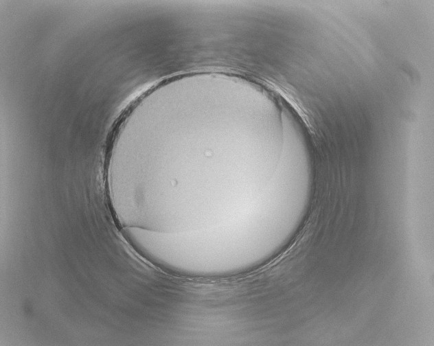 X0000115521452200912181456