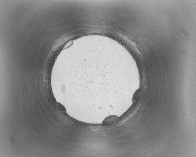 X0000115521453200912181456