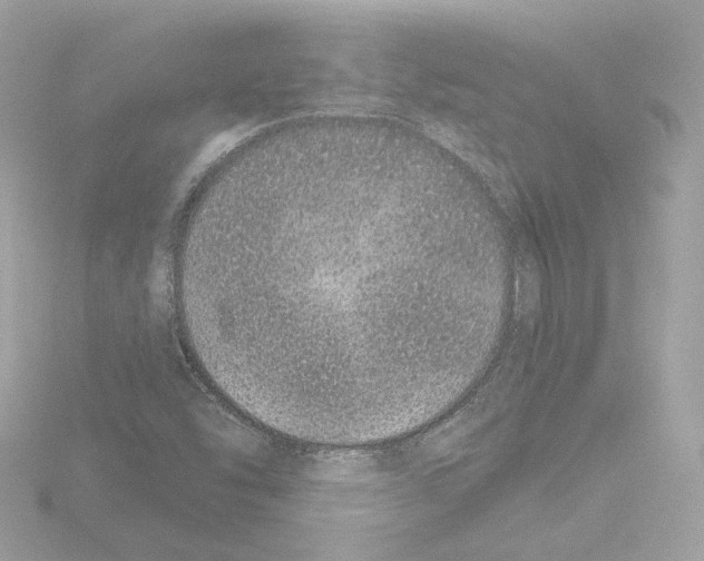 X0000115521454200912181456