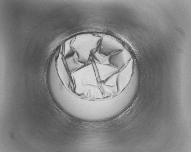 X0000115521455200912181456