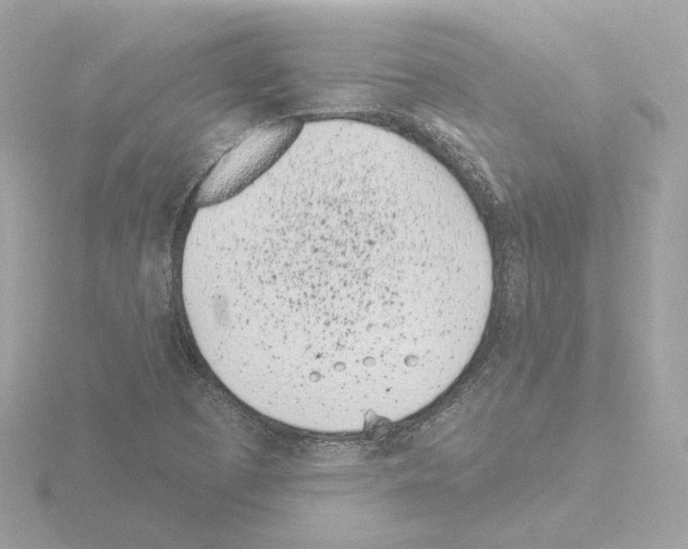 X0000115521457200912181456