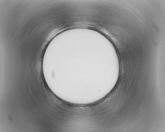 X0000115521459200912181456