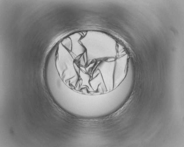 X0000115521461200912181456