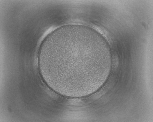 X0000115521462200912181456