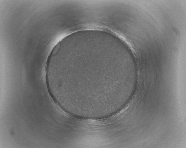 X0000115521463200912181456