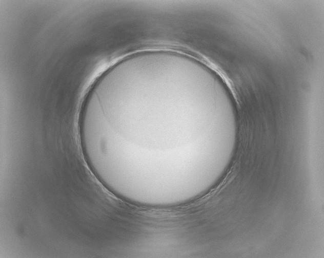 X0000115521464200912181456