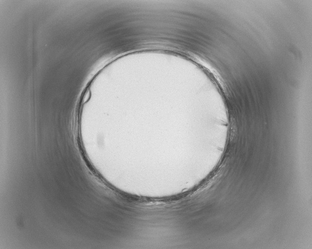 X0000115521467200912181456