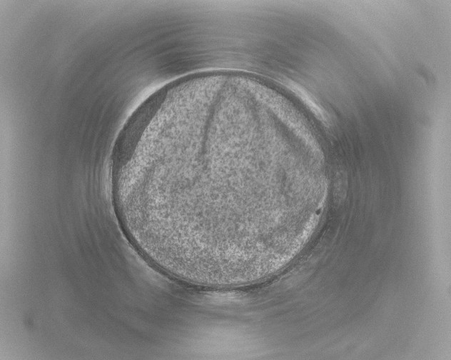 X0000115521468200912181456