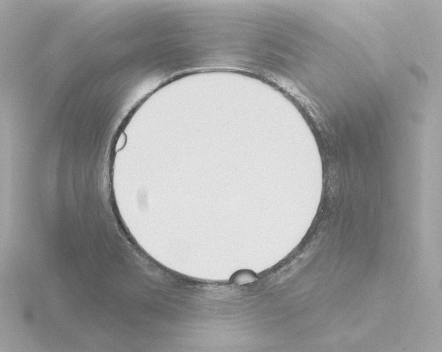 X0000115521469200912181456