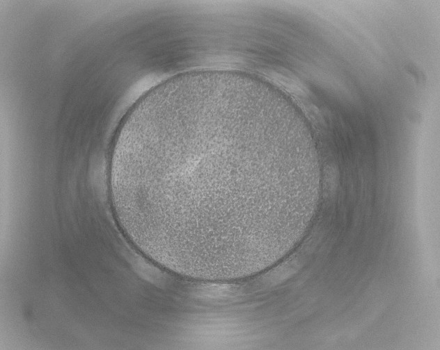 X0000115521470200912181456