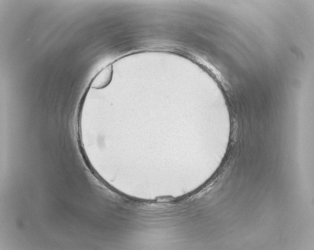 X0000115521471200912181456