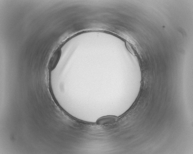 X0000115521472200912181456