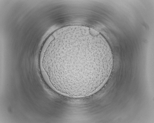 X0000115521474200912181456