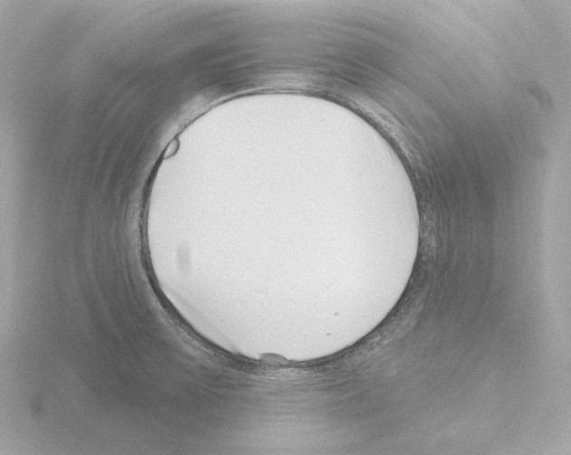 X0000115521475200912181456